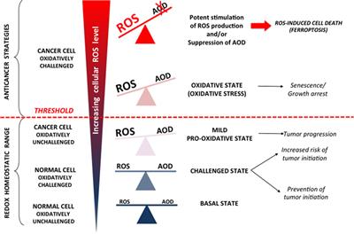 The Central Role of Amino Acids in Cancer Redox Homeostasis: Vulnerability Points of the Cancer Redox Code